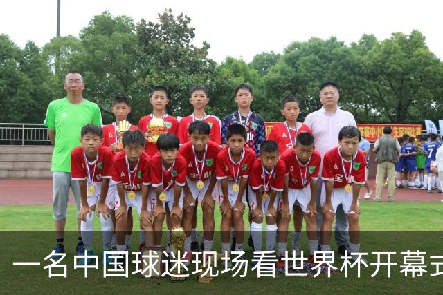 一名中国球迷现场看世界杯开幕式“破防”：要是有我们的球队该多好