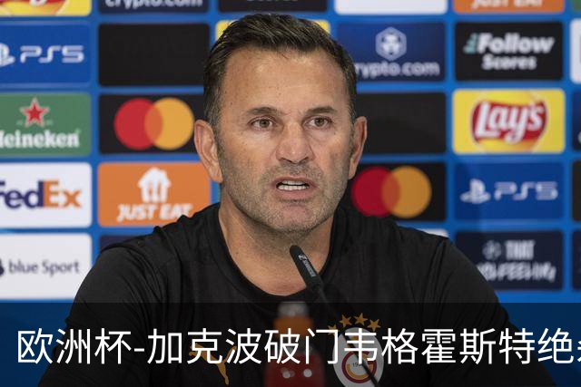 欧洲杯-加克波破门韦格霍斯特绝杀 荷兰2-1波兰